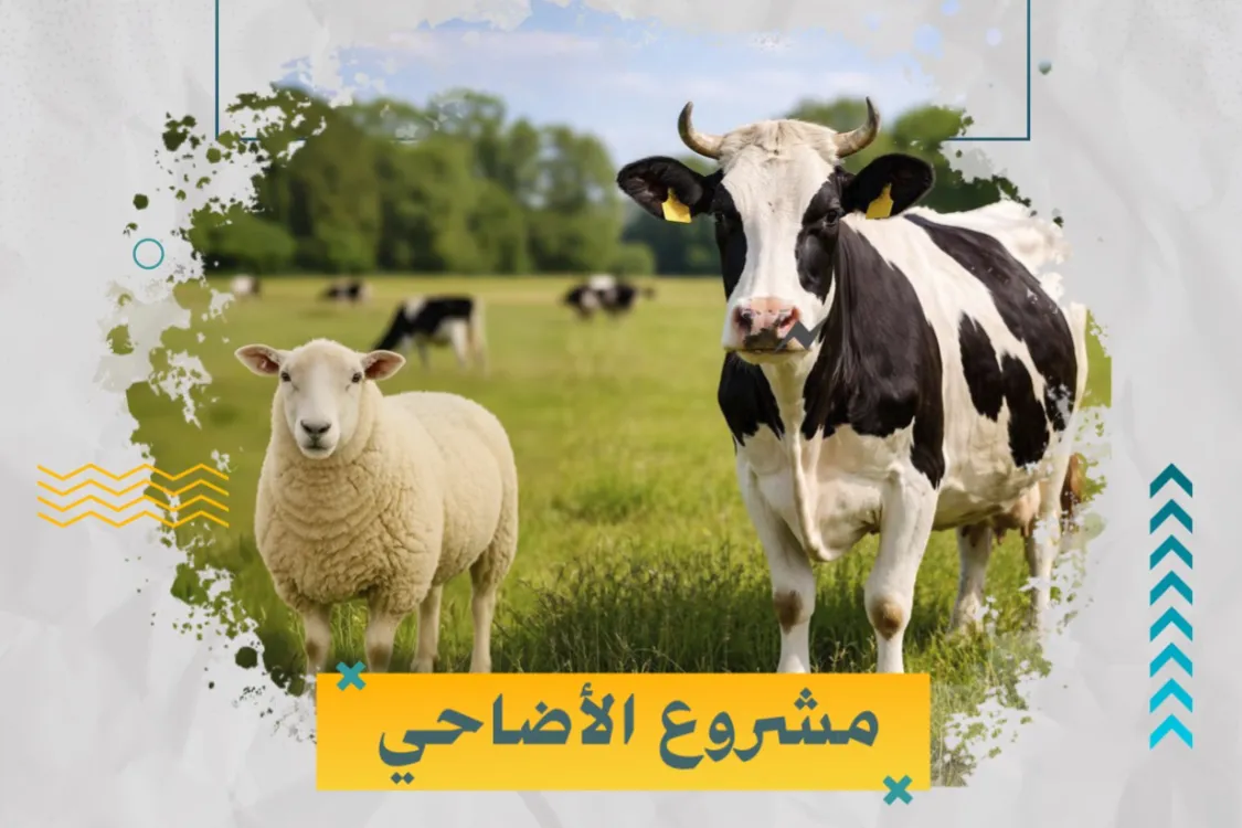 أضحيتك لغزة - مشروع أضحيتك فرحتهم | أمتي